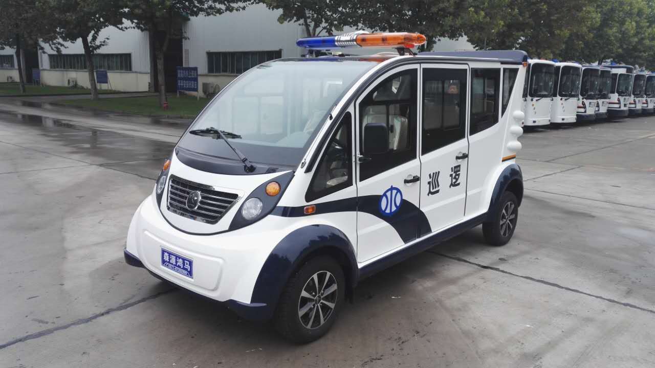 洛陽市洛寧縣電動(dòng)巡邏車發(fā)車(圖1)