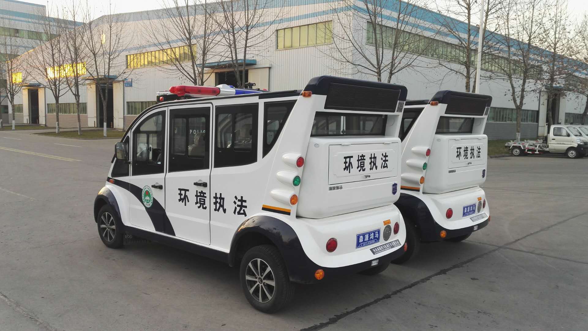 重慶市榮昌區(qū)采購(gòu)電動(dòng)巡邏車(圖4)