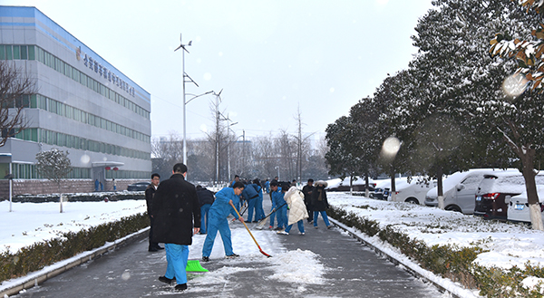 別開生面“打雪仗”(圖2)