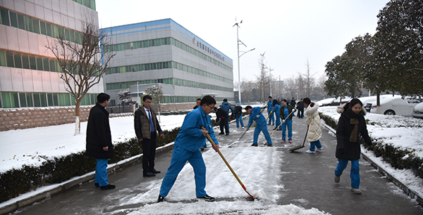 別開生面“打雪仗”(圖3)